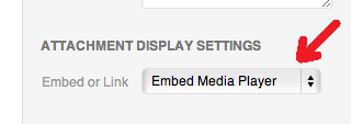 Adding Audio and Video to Word Press Blog Post 3 1588176496 993 Adding Audio and Video to Word Press Blog Post
